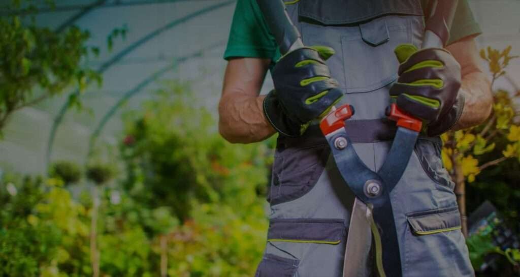 EZ-Haulin' team clearing and loading yard waste, including branches and leaves, onto a truck for eco-friendly disposal.