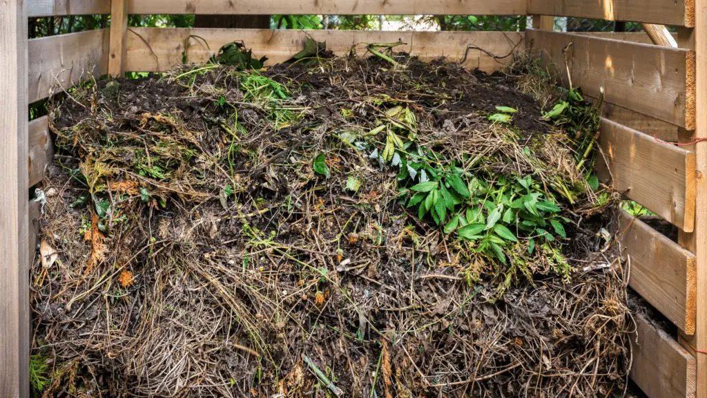 EZ-Haulin' team clearing and loading yard waste, including branches and leaves, onto a truck for eco-friendly disposal.